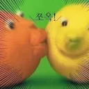 온기를 원하는 자
