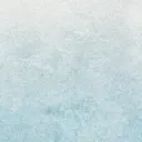 猩のサーバー