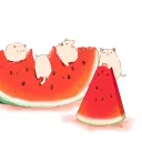 Fruit Salad