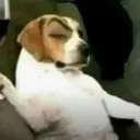 ♱.