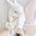 𝕔𝕠𝕫𝕪 𝕔𝕠𝕣𝕟𝕖𝕣 Discord server icon