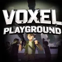 Voxel Playground
