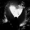 DTI soulz💫's icon