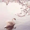 𝓑    𝄞   closed
