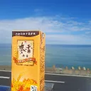 U質的伺服器