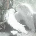 🪽　﹕𓏼 　ᴄʜᴇʀɪꜱʜᴇᴅ 𝒹𝒶𝓇𝓁𝒾𝓃𝑔𝓈　Ი ᰍ