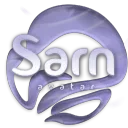 Sarn