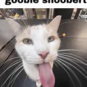 Goofy Goobers