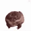 𓆏Frogian Universe𓆏