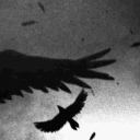 insist ・gws ・active Discord server icon