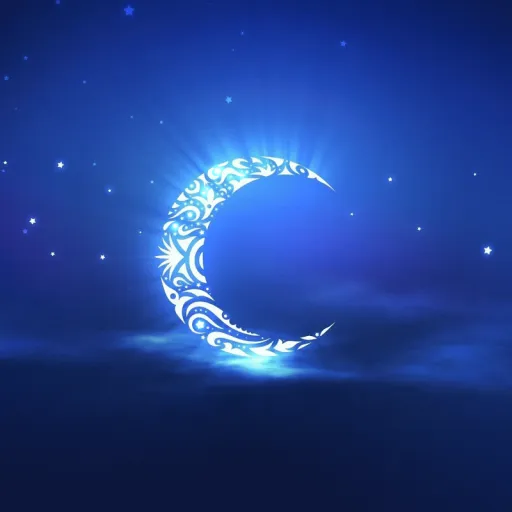 Moonlight Shadow — мониторинг Discord сервера, статистика и рейтинг