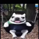 Servidor de pyrokaa discord icon