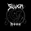 ‧₊˚ ☾. Silver Moon Spirits ˚☽˚.⋆