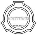 💎CatTtaC's project❤