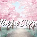 NINJA STORE