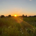 SunRise Discord server icon