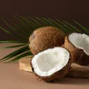 Coconut World (FGC Mini)