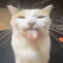 ricixixixixixixixixixixixixix
