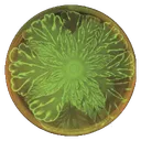 Biofilms