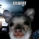 FC Gilbert