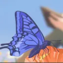 The Flutter Lounge [REVAMPING]