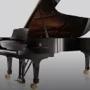 Piano Lovers 🎹