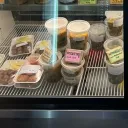 Talking Tree Discord server icon