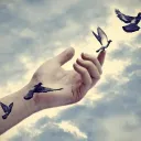 Can't Let Go