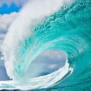 Dank Blue Sea