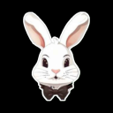 Follow The White Rabbit