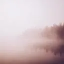 Nymusa
