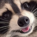 Nyyxx's Autistic Trashcan