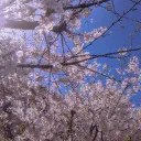 【勇桜邁進劇場】作戦会議室