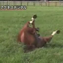 ぼく場