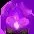 Purple Flame Meme Coalition