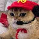 McCAT