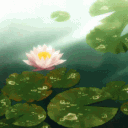 pond