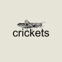 crickets
