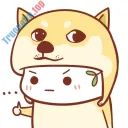 hiệp hội doge Discord server icon