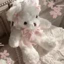 Mochi’s Cuties !
