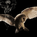 melancholy Discord server icon