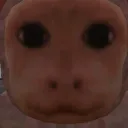 Scary Chimps