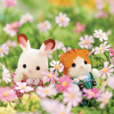 Ember’s Studio! Discord server icon