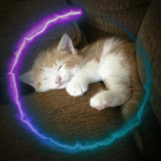 Remember Sguad — мониторинг Discord сервера, статистика и рейтинг