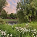 🌿₊˚ cozy sanctuary ִֶָ ̽𖧧