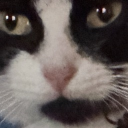 ♡~msbipolars home~♡ Discord server icon