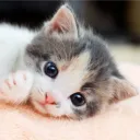 LETTER E CLUB Discord server icon