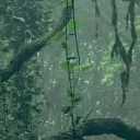 Wyrdwood Secrets