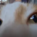 KitKat [SQUAD]