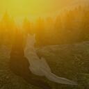 Stormclaw Sanctuary Rolplay Discord Server Icon